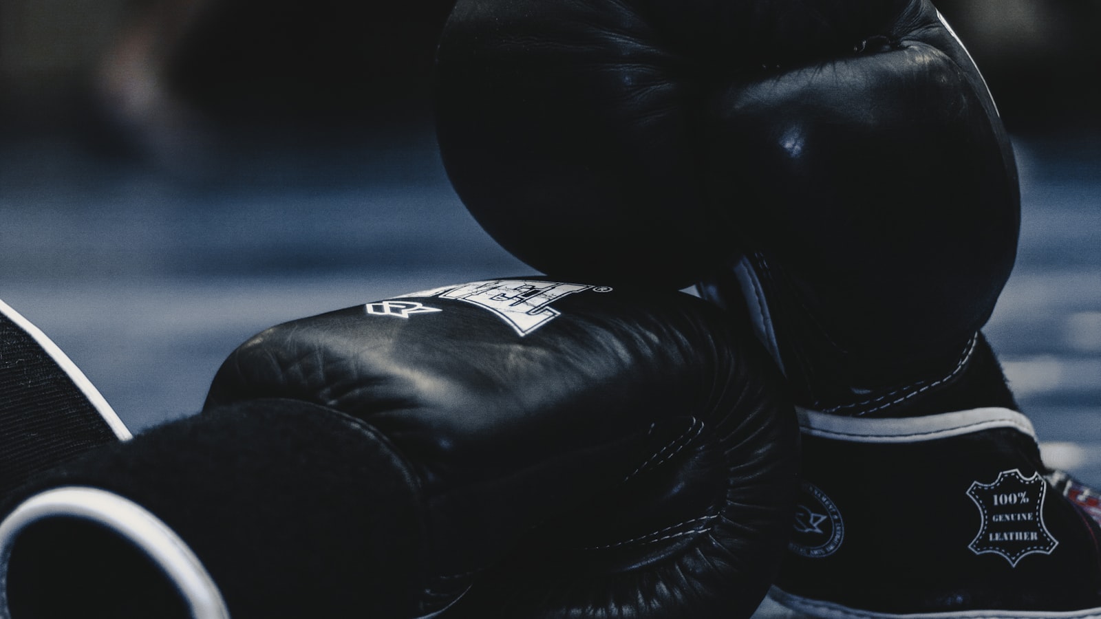 Sparring night